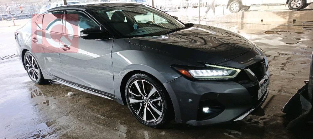 نيسان ماكسيما